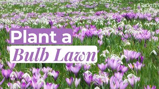 🌷 How to Plant a Bulb Lawn 🐝 Help Support Early Pollinators