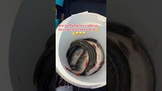 #рыбалка #fishing #рыбалканаозере #юмор #большая #рыба