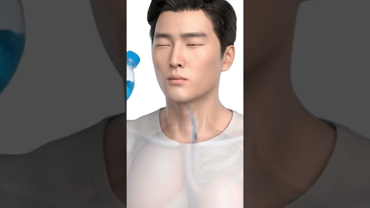 Transparent Body Cold Drink Reaction| Realistic 3D Animation 