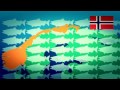 Российские санкции сказываются на доходах европейских компаний-производителей (новости)