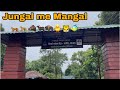 JUNGAL ME MANGAL /GHUM GAYE JUNGLE MAI/TUPE BHAI NE BACHALIYA👹🐆🐆🐅🐅