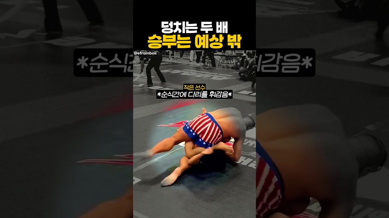 덩치는 두 배 승부는 예상 밖