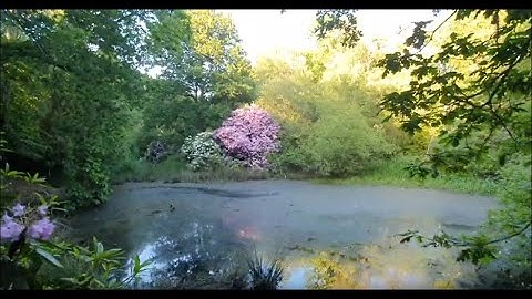 Harrow Weald Common and Harrow View