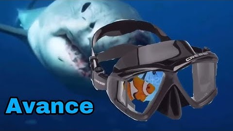 Buscando a Nemo live action/ adelanto