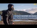 Cold water diving  the pacific northwest british columbia canada 4k