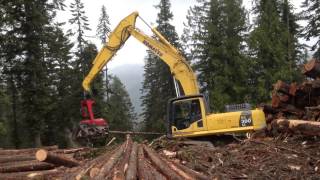 Komatsu PC300 Forest Machine - with Komatsu 398 Processor Head