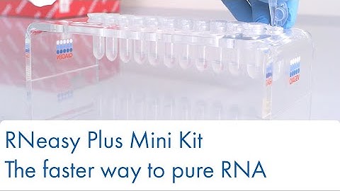 RNeasy Plus Mini Kit – the faster way to pure RNA
