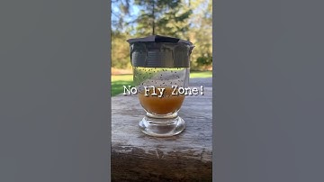 Fruit fly problem? Get rid of tiny trespassers fast with this free diy trap! #fruitflies