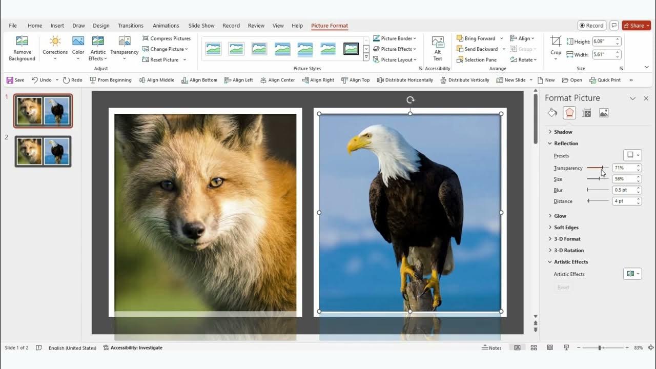 How to Apply Filters to the Pictures in PowerPoint - YouTube