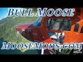Flying The Bull Moose From Moose  Mods