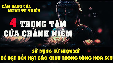 Ajahn brahm - BỐN TRỌNG TÂM CỦA CHÁNH NIỆM - TỪ CHÁNH NIỆM ĐẾN GIÁC NGỘ - AJAHN BRAHM