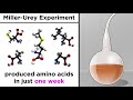 The Origins of Life and the Role of Biomolecules in Cellular Development