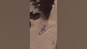 N letter signature style best signature for #nikita #fashionstyle 💜💜🔥🔥