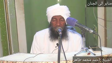 تلاوة من سورة النحل (٤_٩) /لفضيلة الشيخ أحمد محمد طاهر
