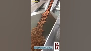 egg washing and breaking machine