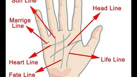 HOW TO READ YOUR OWN PALM LINES