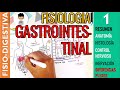FISIOLOGIA GASTROINTESTINAL - RESUMEN, Estructura, Control Nervioso, SN ENTERICO |Sistema Digestivo1