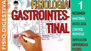 FISIOLOGIA GASTROINTESTINAL - RESUMEN, Estructura, Control Nervioso, SN ENTERICO |Sistema Digestivo1