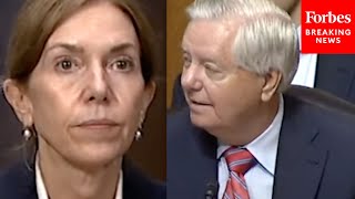 Oh Come On Lindsey Graham Doesn t Believe Judge Nominee s Answer