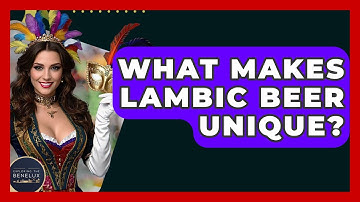 What Makes Lambic Beer Unique? - Exploring The Benelux