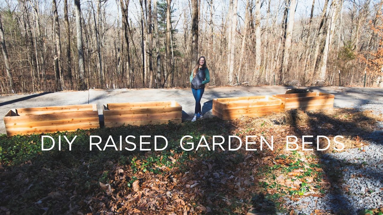 DIY Raised Garden Beds YouTube