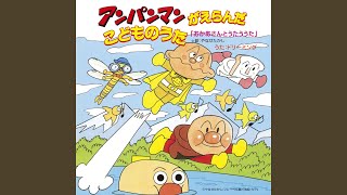 猫ふんじゃった カード名「猫ふんじゃった」(1 枚)｜Z/X -Zillions of enemy X-