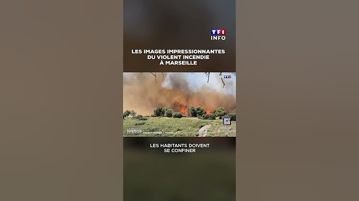 Les images impressionnantes du violent incendie qui touche la région de Marseille｜TF1 INFO