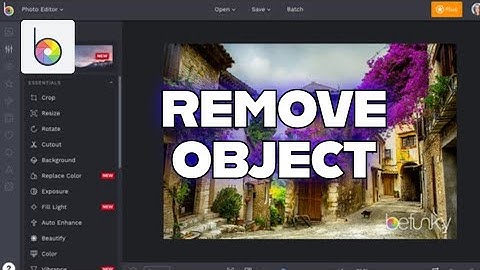 How to Remove Object in Befunky 2025?