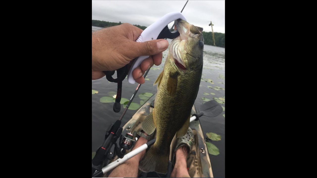 Bass Fishing Togus Pond Augusta ME YouTube