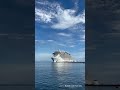 Biggest cruise ship I’ve seen in the USA 😱#cruiseship#travelvlogs#cruiselife#seaview#oceanview
