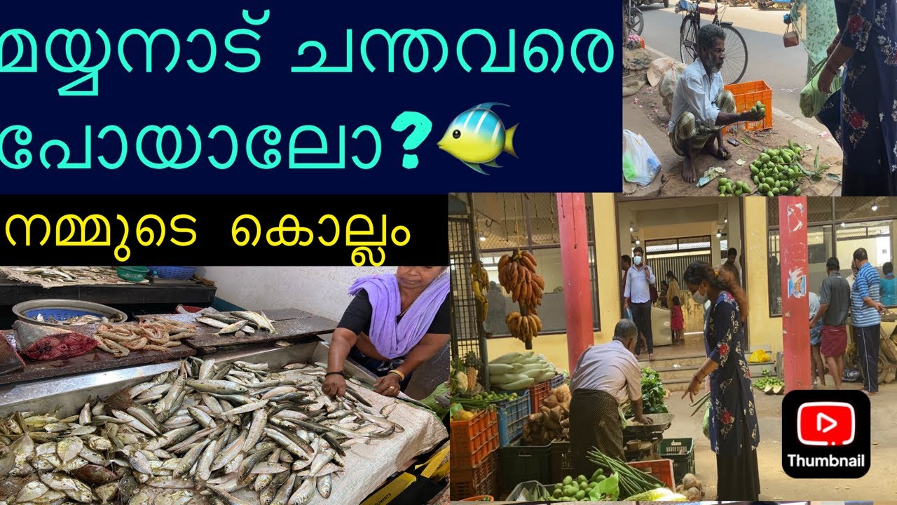 നമ്മുടെ കൊല്ലം മയ്യനാട് ചന്ത🐠|Vlog:2️⃣@MyWayByKalyani