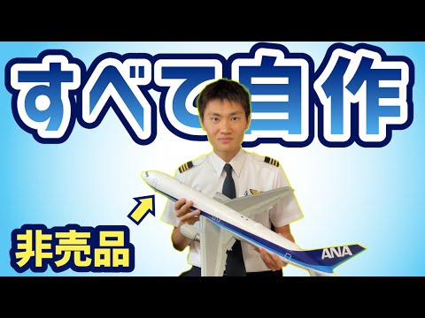 【本気】ANAのパイロットが自作で飛行機作ったら、本気出してきたんだがｗｗｗ