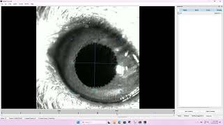 Step 2: Pupil Model Creation