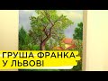 Як рятують грушу, яку посадив Іван Франко у Львові