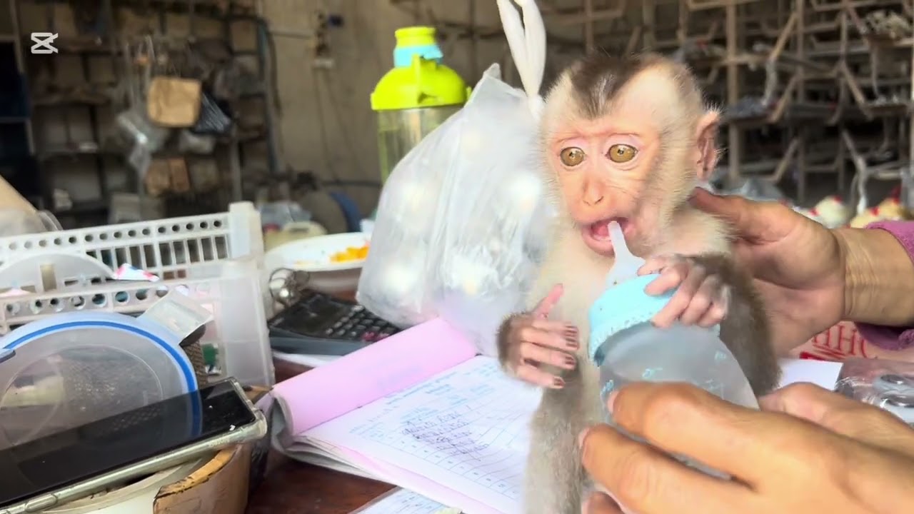 Mommy takes Mary to clean up