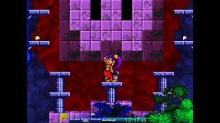 Shantae Risky's Revenge - 100% speedrun 2:17.33