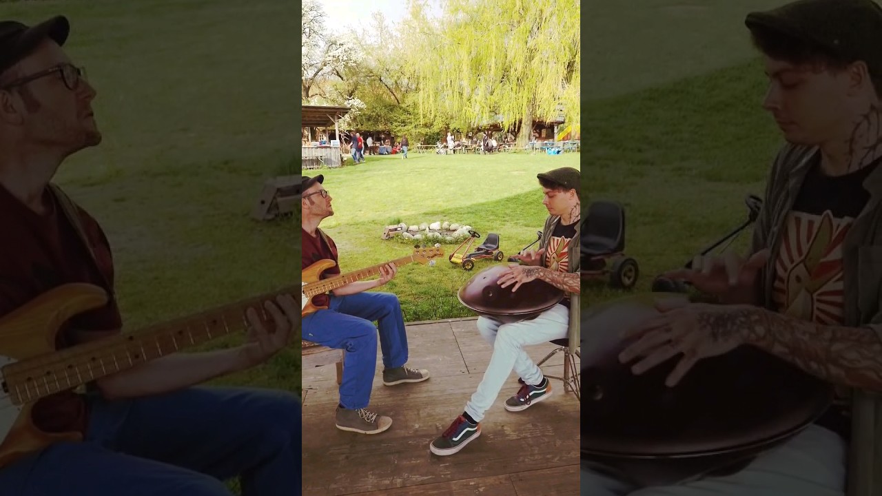 Handpan meets Bass