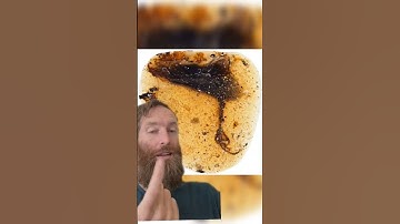 why are scientists so interested in Amber fossils? #amber #fossils