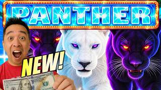 ★NEW SLOT!★ THIS LOOKS FAMILIAR! GHOST PANTHER & BLACK PANTHER Slot Machine (ARISTOCRAT GAMING) screenshot 5