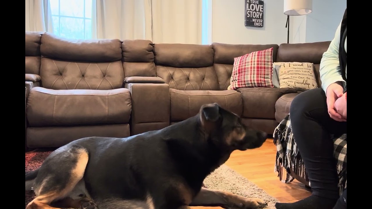 Exercise 4.1 Head Dip Shaping Session Angelina Manwaring