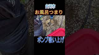 【白河市】根っこでお風呂が流れない!徹底お掃除!#short #掃除