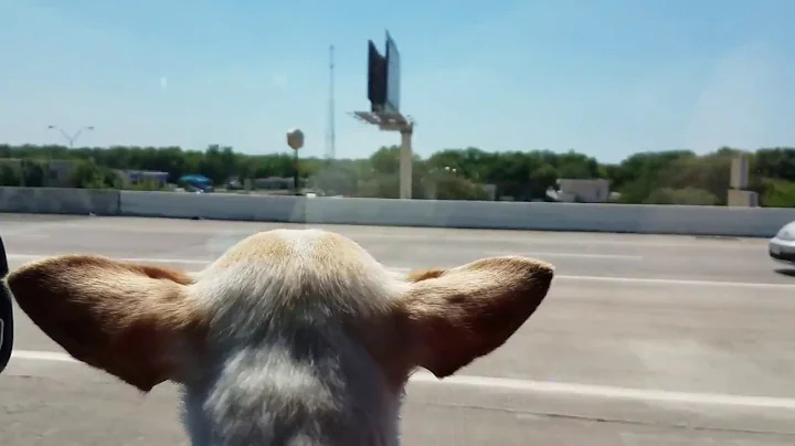 Texas Adventure