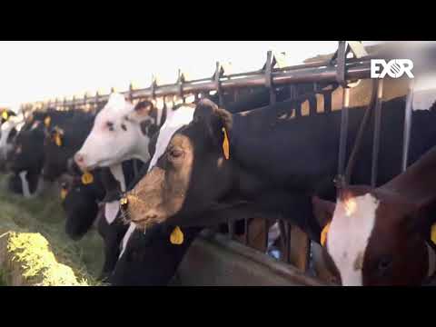 Micronoticiero #Exornews | Sexagésima primera edición. Con Diana Véronica Ramos.