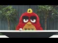 Red Teach Us To Break To Coconut For Angry Birds: Mystery Island 