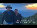 Amicalola Falls Lodge Adventure