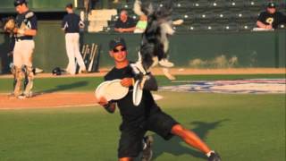 Flying High Disc Dogs