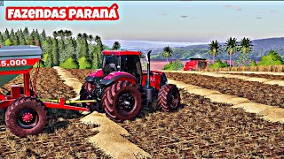 FAZENDAS PARANÁ, COLHENDO TRIGO - FARMING SIMULATOR 19