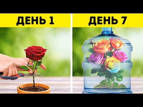 Цветы и другие растения 🌷🌹 🌱Отличные идеи для подготовки вашего сада к весне
