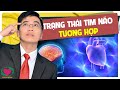 TRẠNG THÁI TIM NÃO TƯƠNG HỢP - BSHOANGHIEP