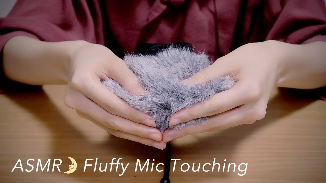 [ASMR] Fluffy Mic Touching (Windscreen) Ear Cleaning, Brushing [No Talking] DR-40